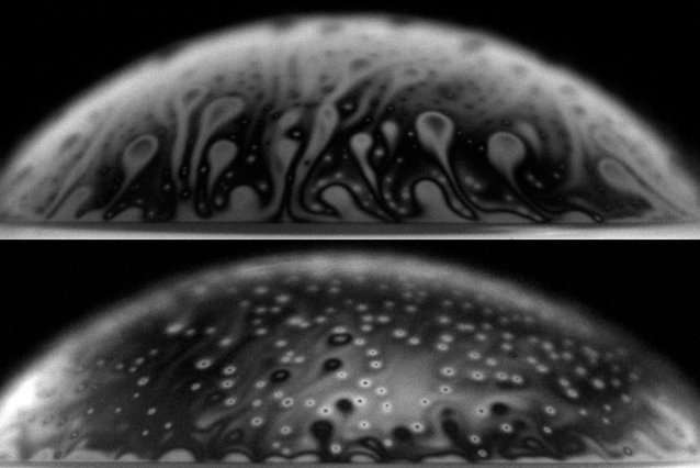 Bursting bubbles launch bacteria from water to air