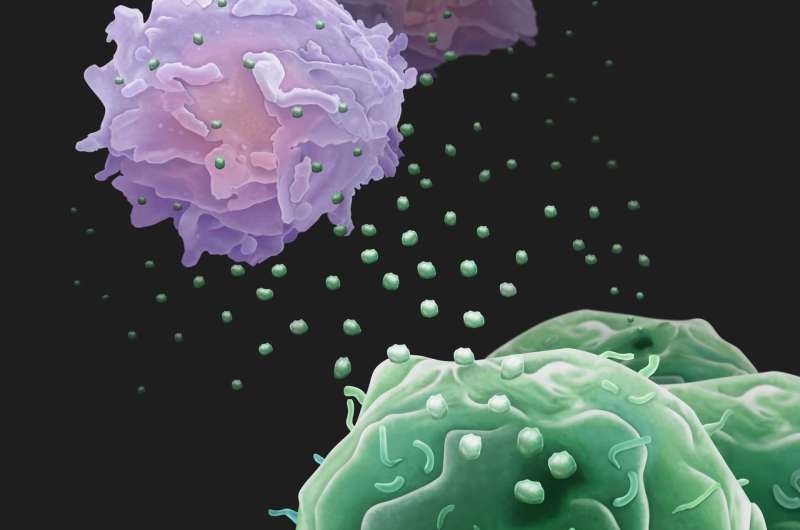 Cancer cells send out 'drones' to battle immune system from afar