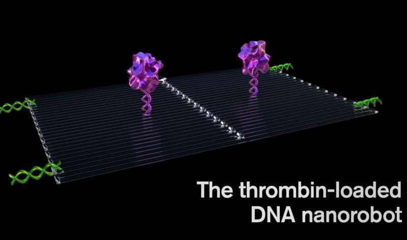 Cancer-fighting nanorobots programmed to seek and destroy tumors