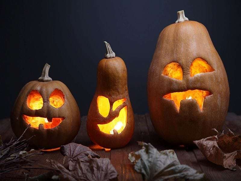 Carve the pumpkin, not your hand