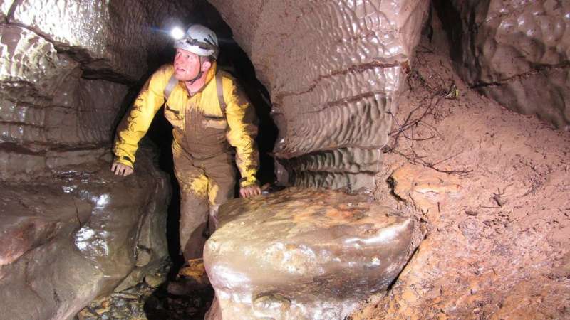 Cave ecologist sheds light on subterranean species