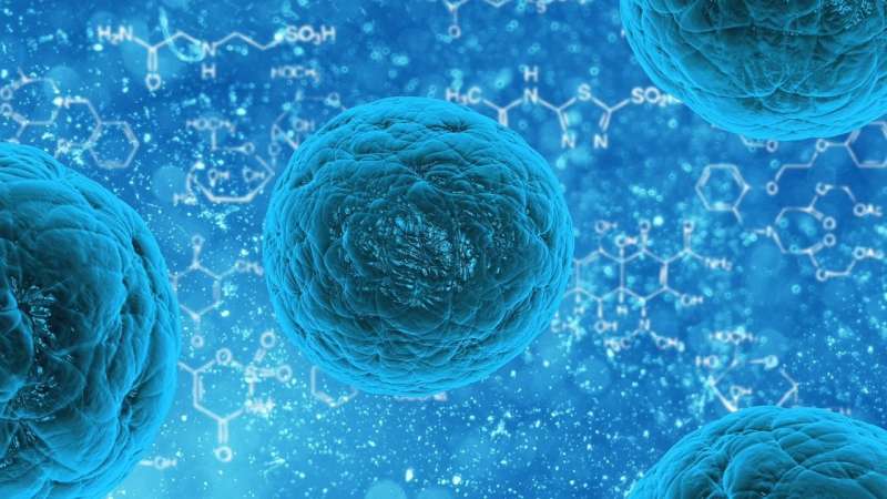 Stem cell drugs surprise researchers, could lead to better drugs in the future thumbnail
