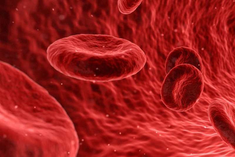 Challenging our understanding of how platelets are made