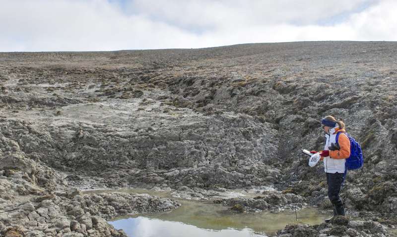 Changing landscape means some Arctic ponds may potentially be a significant source of carbon emissio