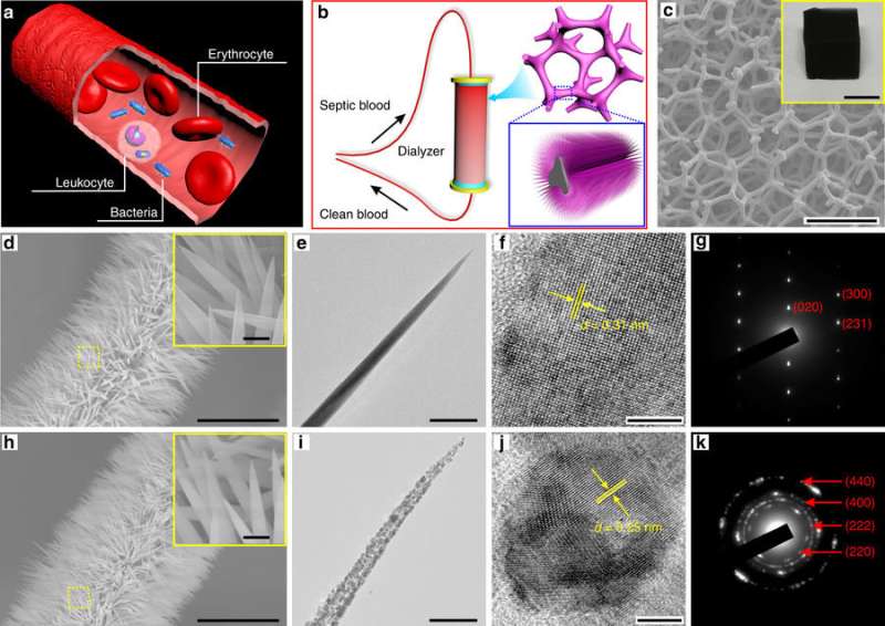 Claw-like nanowires filter bacteria from blood