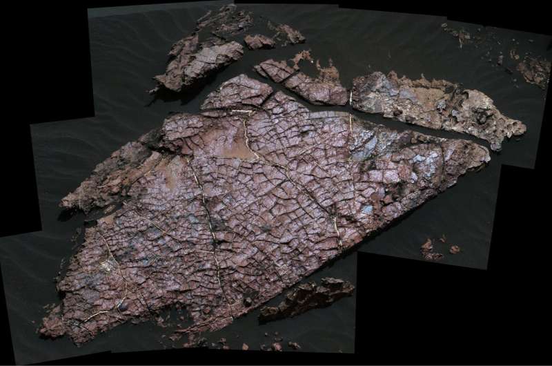 Clear as mud: Desiccation cracks help reveal the shape of water on Mars