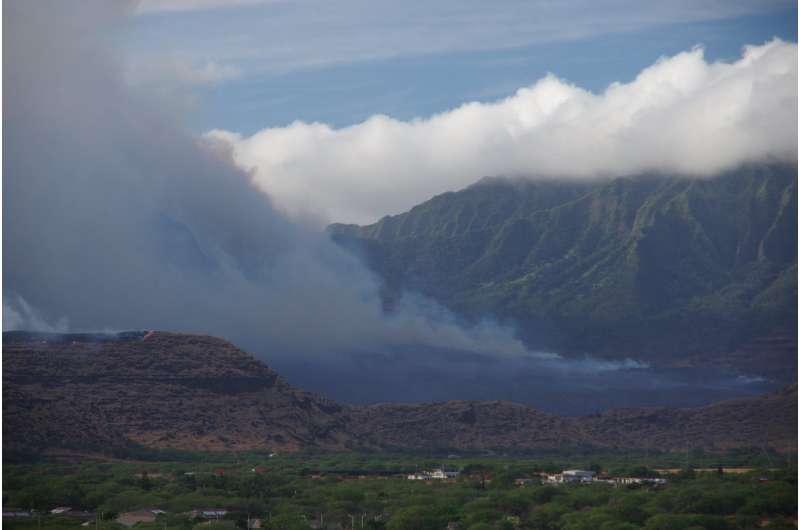 Climate and vegetation shape wildfire risk in Hawai‘i