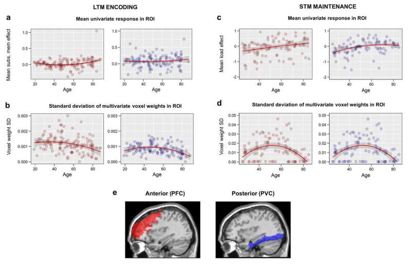 Cognitive consequences of age-related increase in brain activity