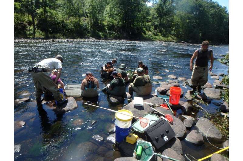 Coldwater streams may provide refuge against changing climate