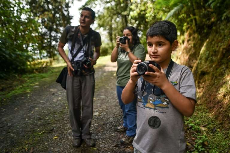 Colombian birdwatcher Juan David Camacho), 10, aims to see all the birds his country has to offer