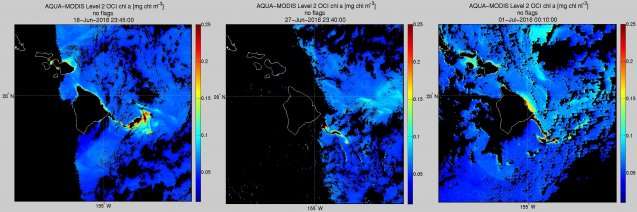 Columbia team helps investigate algae bloom near Kilauea eruption