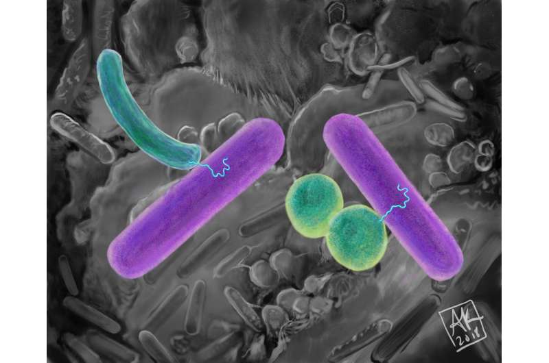 Commandeering microbes pave way for synthetic biology in military environments