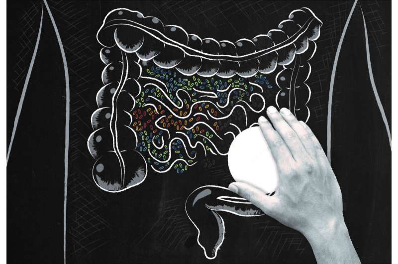 Commonly used drugs affect our gut bacteria