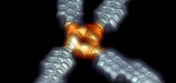 Contacting the molecular world through graphene nanoribbons
