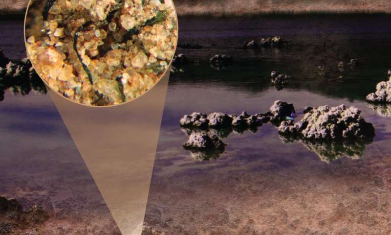 Continental microbes helped seed ancient seas with nitrogen