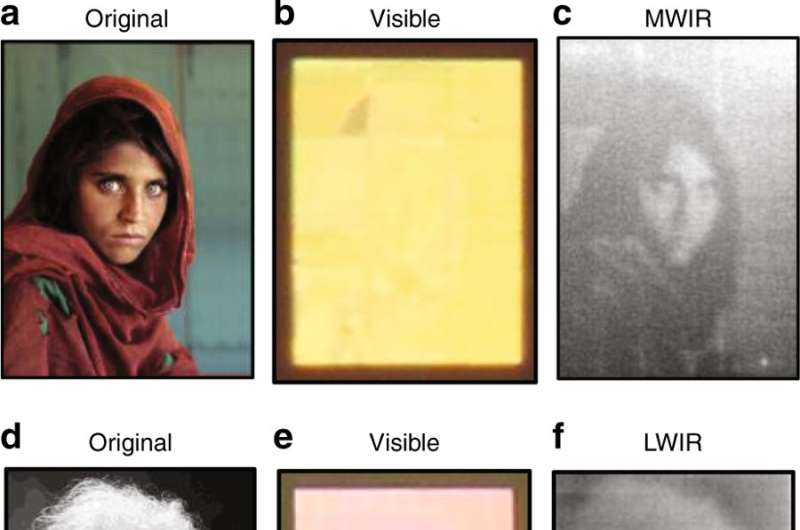 Covert infrared image encoding - hiding in plasmonic sight