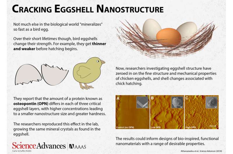 Cracking eggshell nanostructure