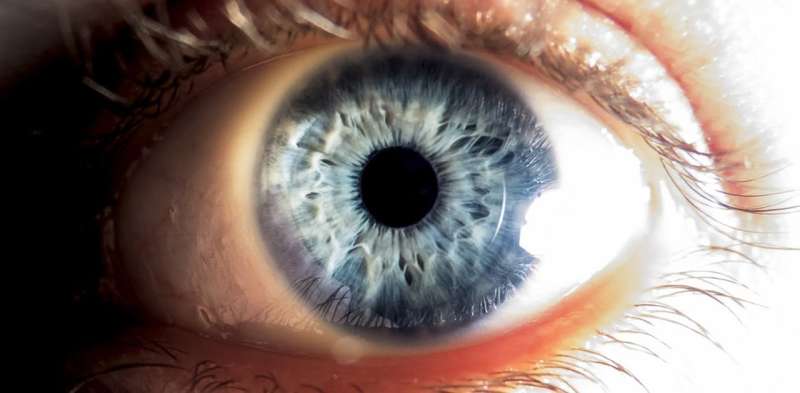 Curing blindness with stem cells – here’s the latest science