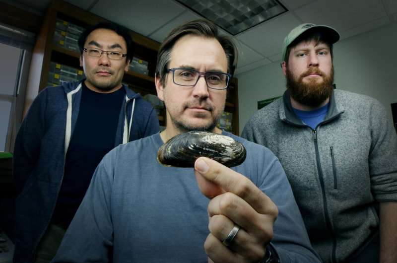 Dallas researchers study Texas' first federally endangered mussel species