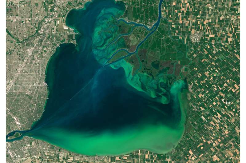 Dead zones are a global water pollution challenge – but with sustained effort they can come back to life