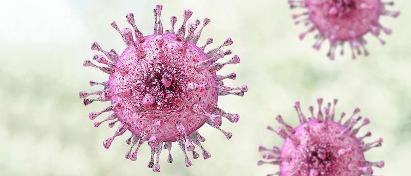 Deeper insight into viral infections