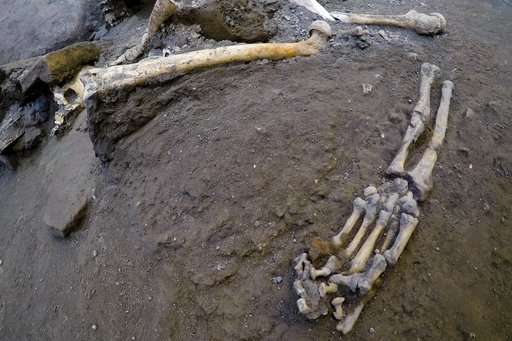Dig at Italy's Pompeii volcanic site yields 5 skeletons