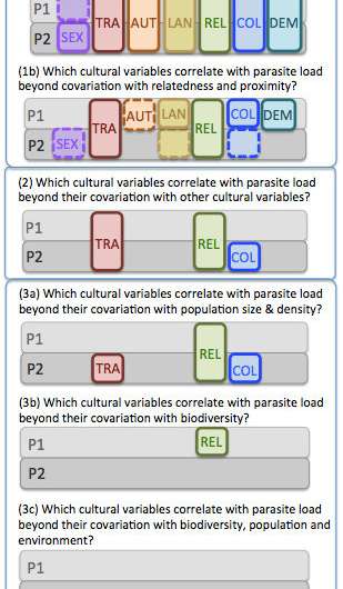 Disentangling the relationships between cultural traits and other variables