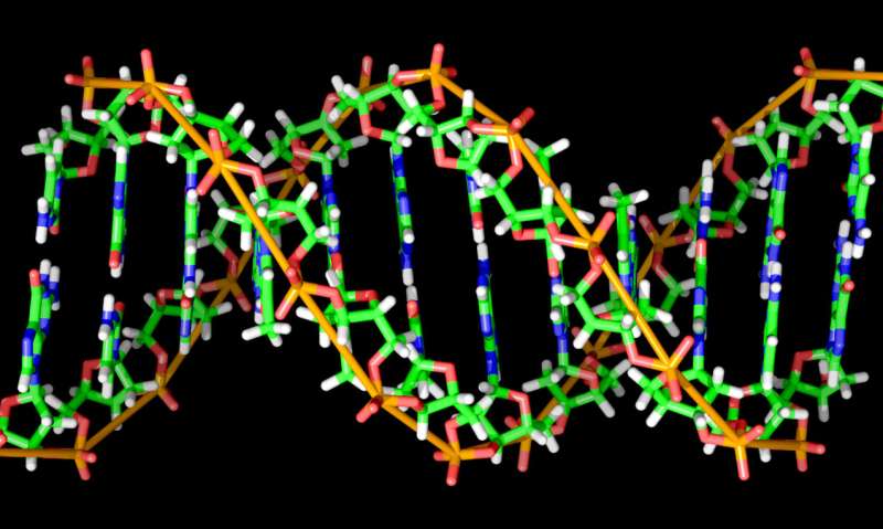 DNA barcodes that reliably work: A game-changer for biomedical research