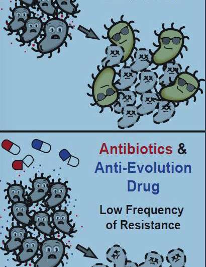 Dodging antibiotic resistance by curbing bacterial evolution