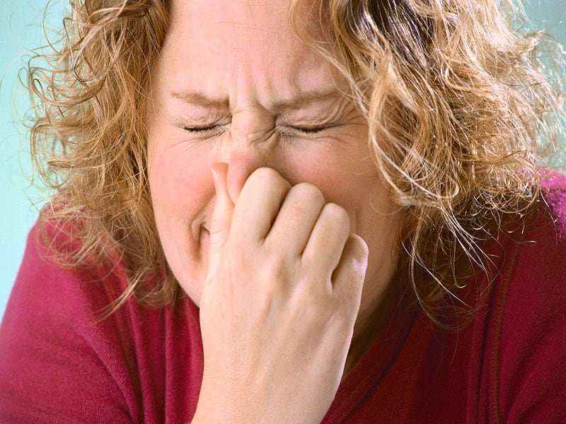 Don't let holiday season stress worsen your allergies, asthma