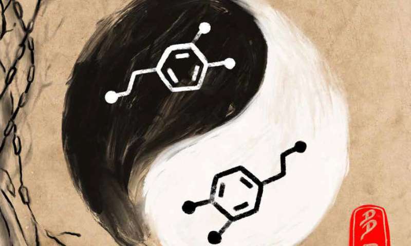Dopamine's yin-yang personality: It's an upper and a downer