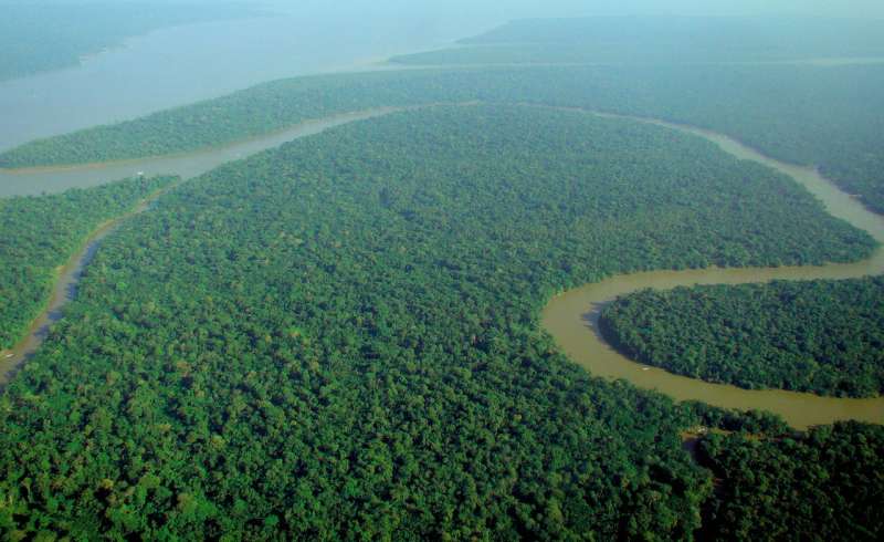 Drones and satellite imaging to make forest protection pay