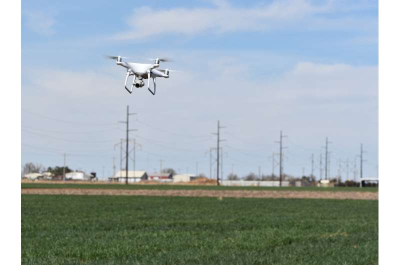 Drones help researchers monitor High Plains wheat