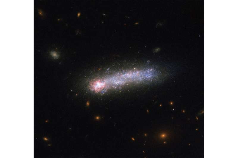 Dwarf galaxy Kiso 5639