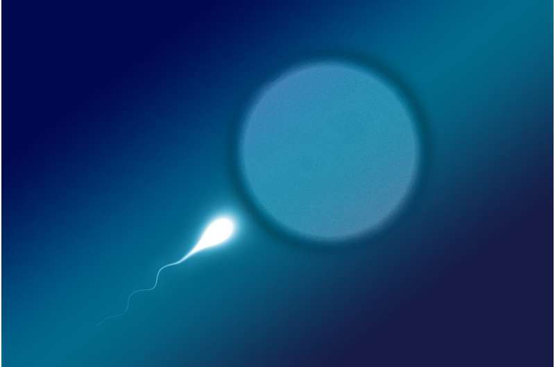 Early life trauma in men associated with reduced levels of sperm microRNAs