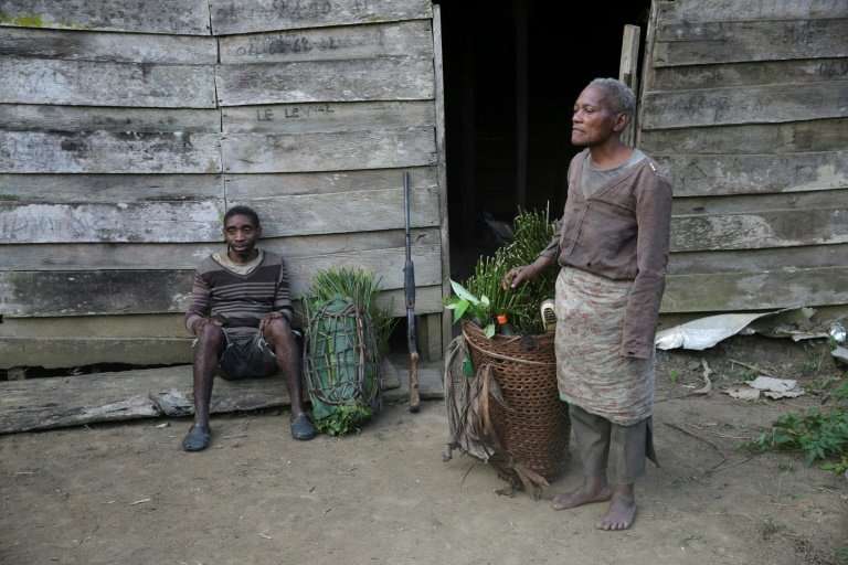 Ebona is one of the ethnic Baka Pygmies in Gabon whose profound knowledge of the forest is their sole source of income