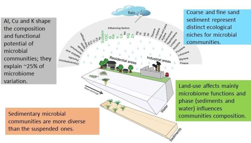 Ecological functioning of urban waterways