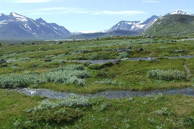 Ecosystems are getting greener in the Arctic