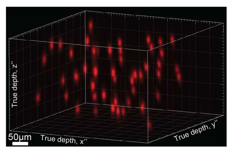Editing brain activity with holography
