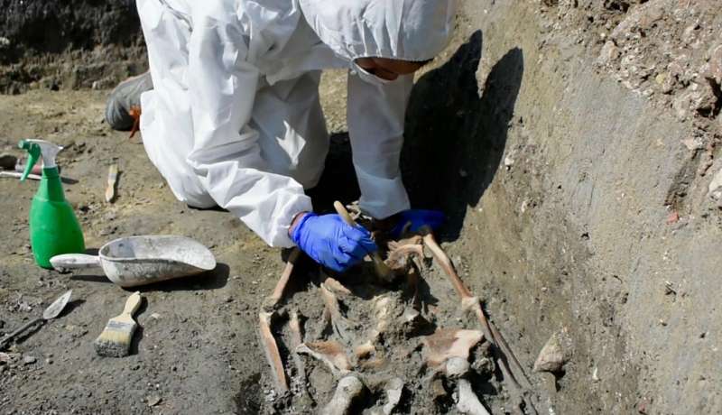 Eighth-century skeleton found at Torcello