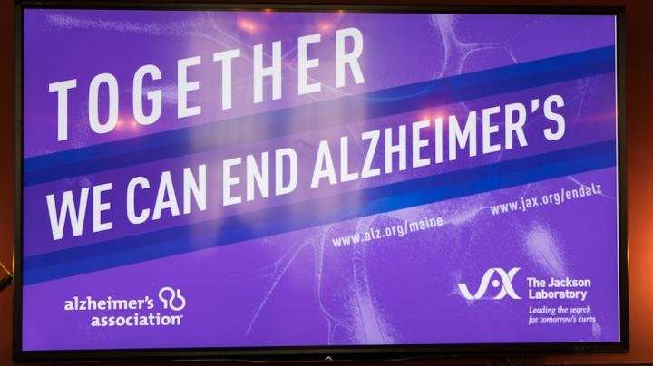 Eight new mouse models for Alzheimer's disease available to researchers