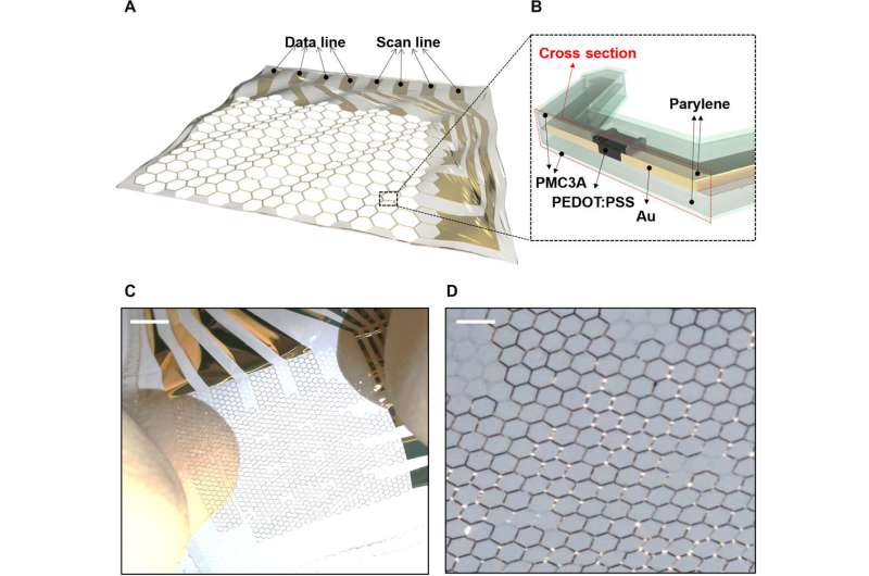 **Electroanatomical Mapping with Non-thrombogenic, Stretchable and Active Multielectrode Arrays (MEAs)