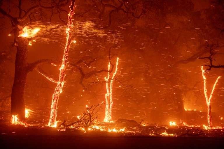 Embers fly as wind and flames from the Camp fire tear through Paradise, California on November 8, 2018.