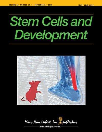 Engrafted stem cell-derived lung organoids that model human lung development