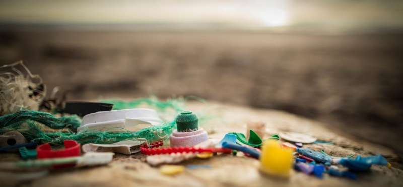 Enhanced education could help turn the tide on marine litter