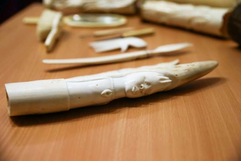 EU law requires government certificates for the sale of ivory acquired after 1947 and before 1990, but Avaaz said none of the iv