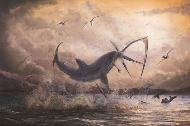 Evidence of a fearsome shark taking down a pterosaur in mid-flight