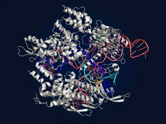 Evolving a more versatile CRISPR-Cas9