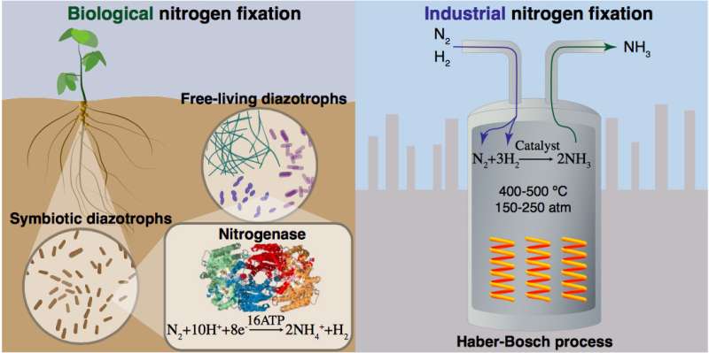 Exploring greener approaches to nitrogen fixation