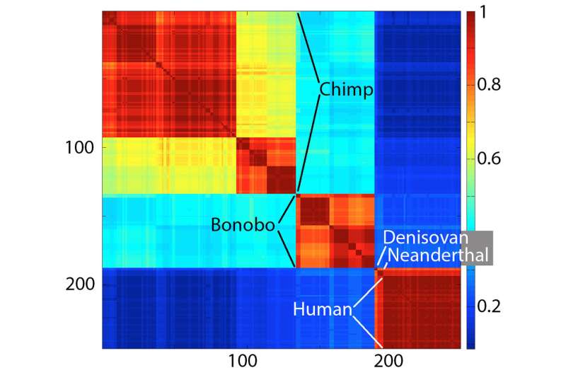 Far from special: Humanity's tiny DNA differences are 'average' in animal kingdom